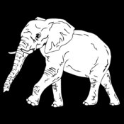 elephan4