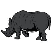 Rhinoceros Rhinos